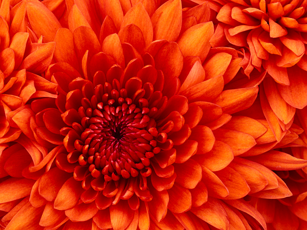 test article